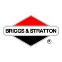 BRIGSS & STRATTON
