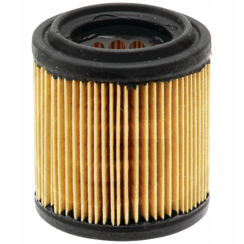 Filter na kosačku - AS-Motorický vzduchový filter G06305012