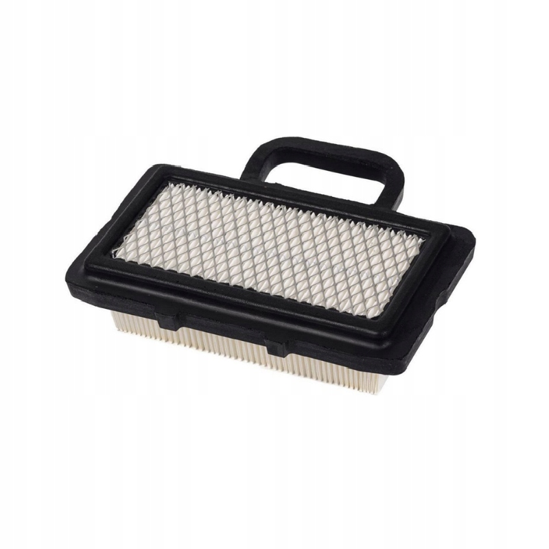 Filter na kosačku - Piestové čerpadlo na palivové čerpadlo 694394 Briggs &