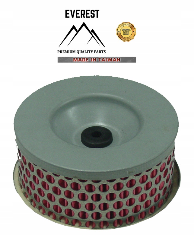 Filter na kosačku - Elektronický modul pre saction 796352S Briggs & St