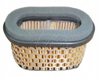 Filter na kosačku - Vzduchový filter Briggs Mannity Machine 494586