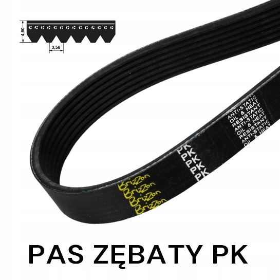 Remeň s viacerými rebrami 8 ks 1495 BRIZZON 589K